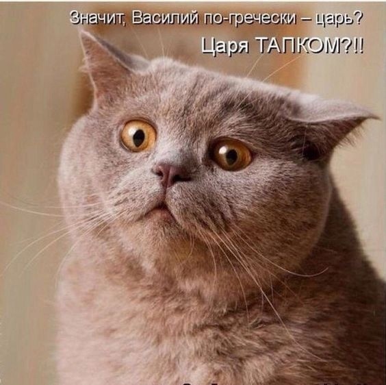 Картинки и мемы, всем хороших выходных