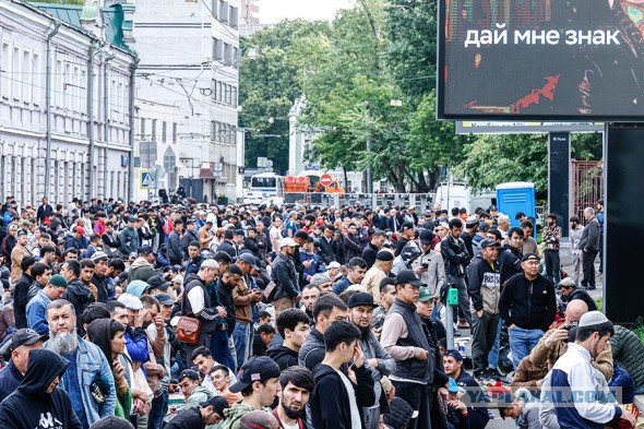 Талибы* хотят, чтобы исламские страны приняли ответные меры после акции по сожжению Корана в Швеции