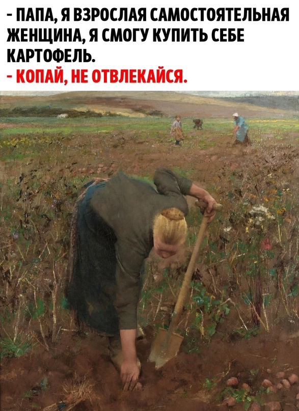 Скупка краденого из сети 08-08-2023