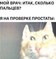 Чему каждого 12-летнего принца Китая обучала специальная учительница «физиологического просвещения»?