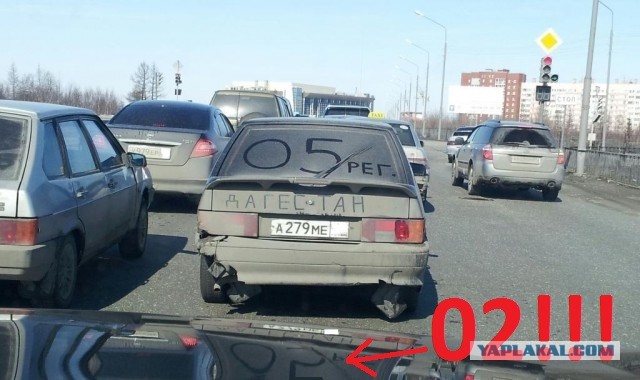 "Хозяева" дорог......