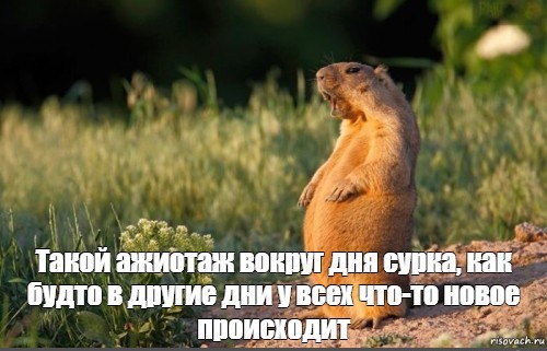С днем сурка