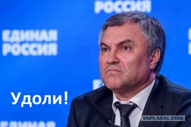 Депутат Хинштейн заявил, что нужно проверять сексуальную ориентацию чиновников перед назначением на высокий пост
