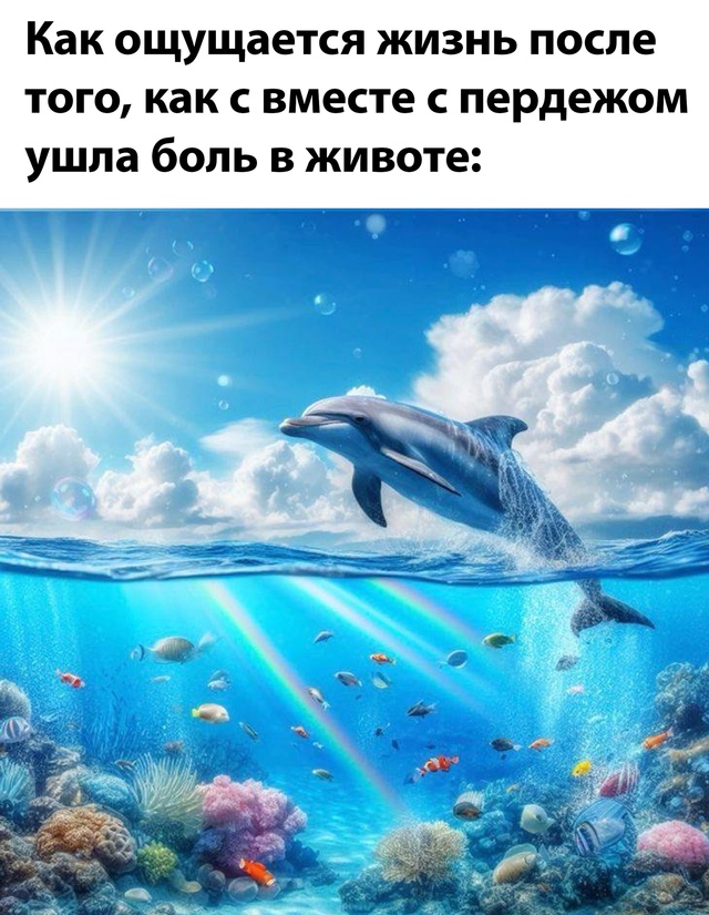 Весёлый полтишок 27.08.24