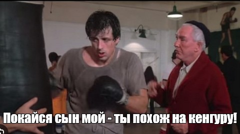 "Боевой кенгуру" замечен в Австралии