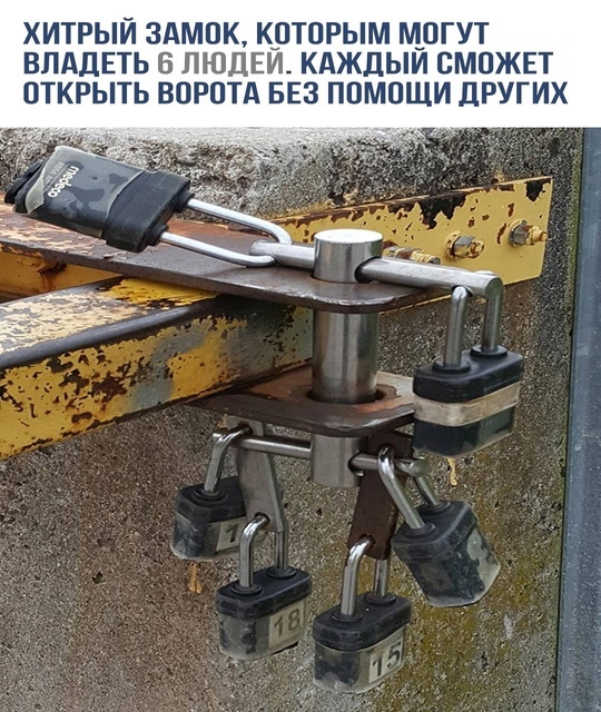 Веселые картинки в понедельник (11.11)