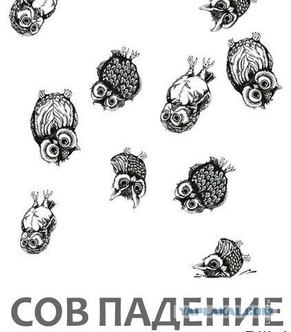 Так себе картинки 25.11.24