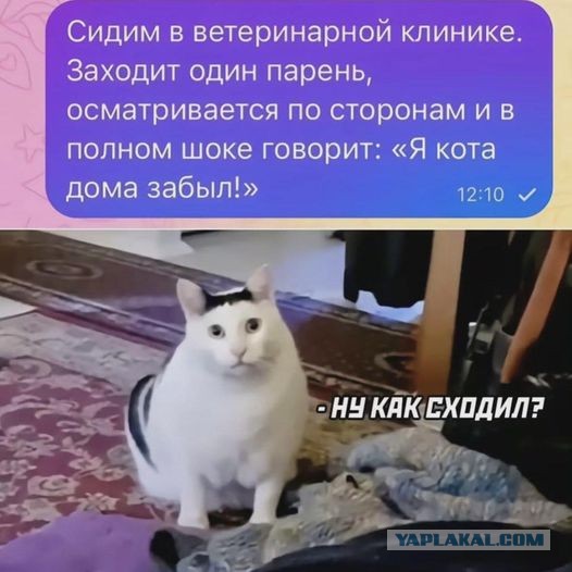 Завалялось тут случайно немного забавных картинок