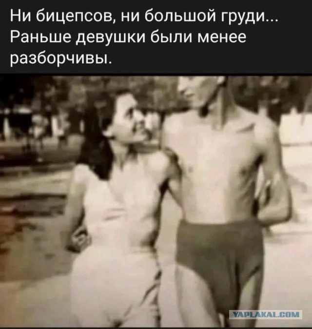 Манифест от отчаявшегося ЯПовчанина Сова82
«Даёшь деградацию! Вернём ЯП в истоки!»