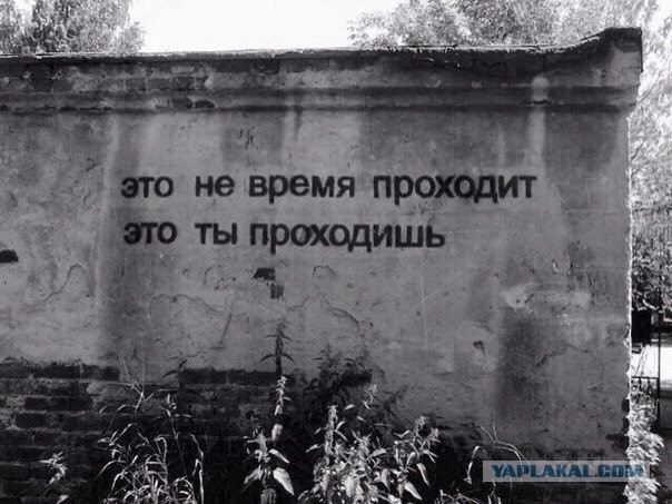 Просто картинки