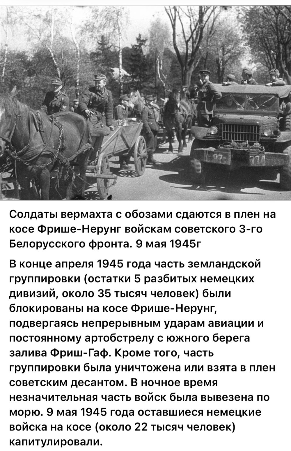 20048058.jpg
