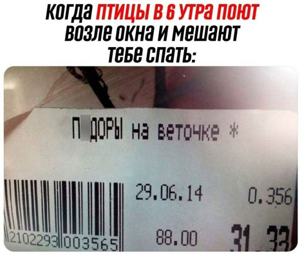 Утром в газете, вечером в баяне
