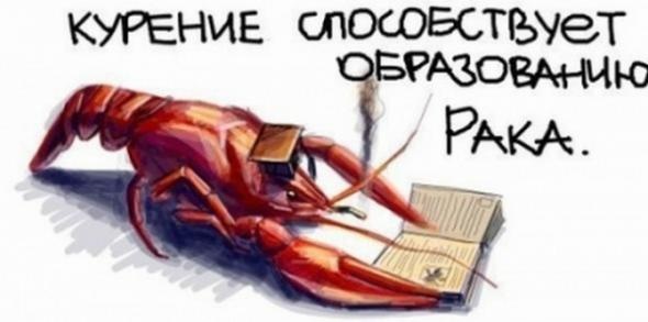 Сова оказывается ещё и защитник слабых :)