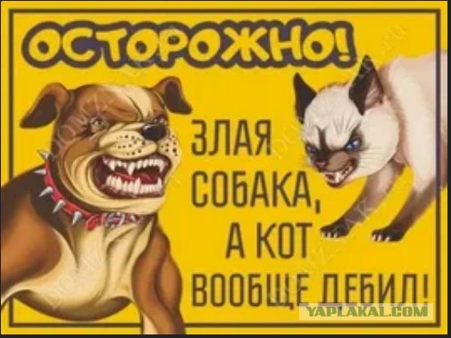 Сторожевой кот
