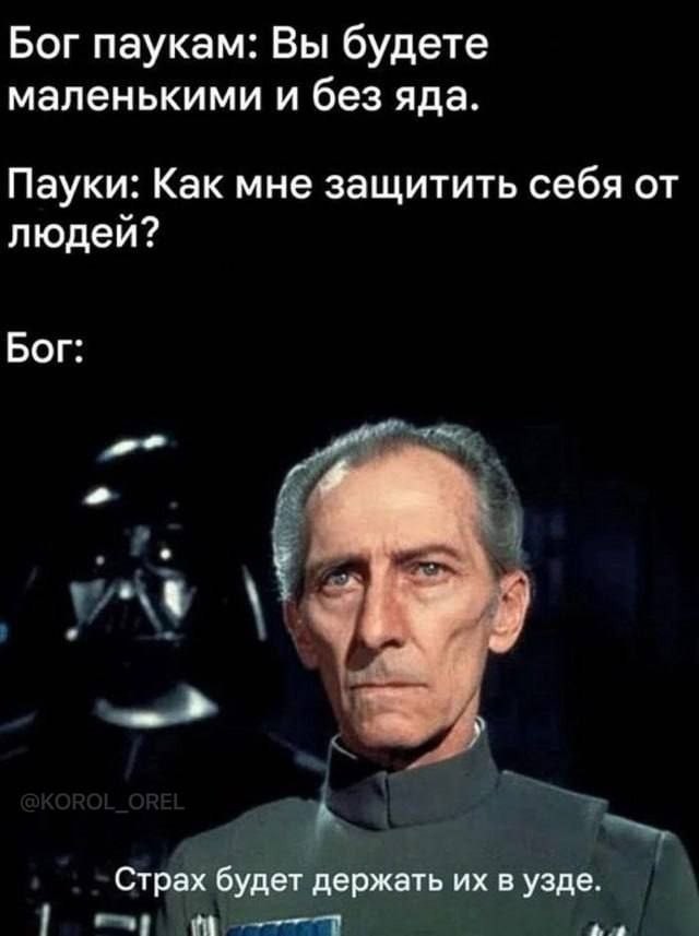 Веселые картинки в маленькую пятницу (03.12)