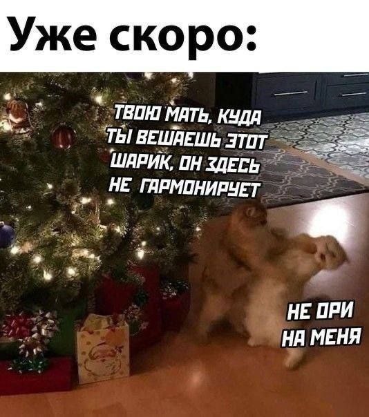 Картинки для деградации 109 (разной степени свежести)