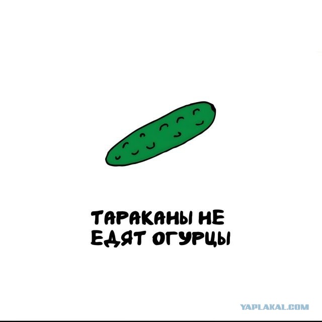 Интересные и короткие факты на все случаи жизни 05.01.26