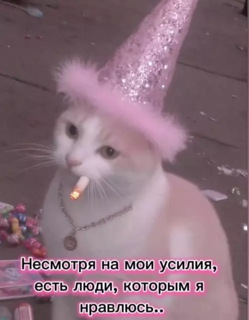 Веселых картинок вам в ленту