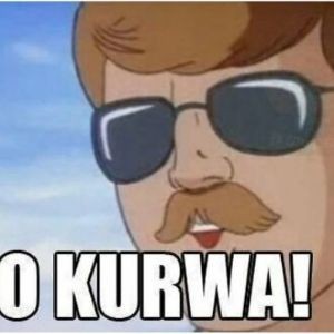 Бобёр повалил дерево прямо на припаркованную машину в районе Чёрной речки в Питере