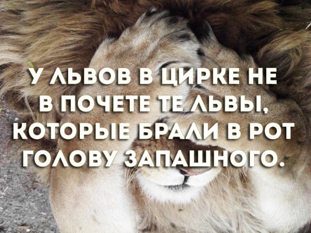 Всякой дряни притащил