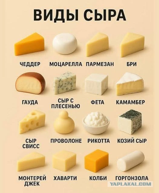 Забавные картинки, шутки из этих ваших интернетов