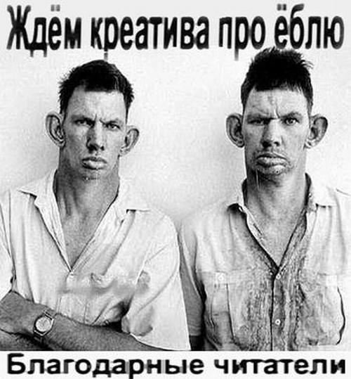 Из чего делают бургеры из Макдональдс