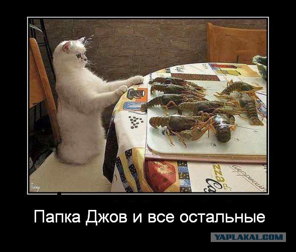 Wargaming 8
