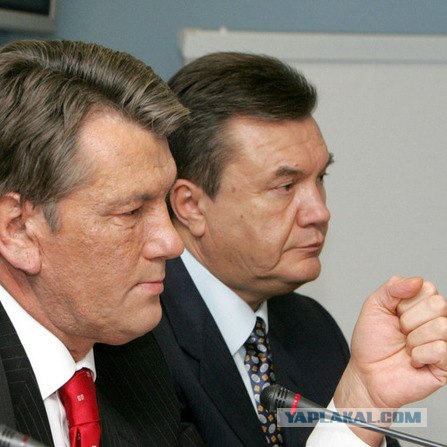 Животные в повседневной жизни