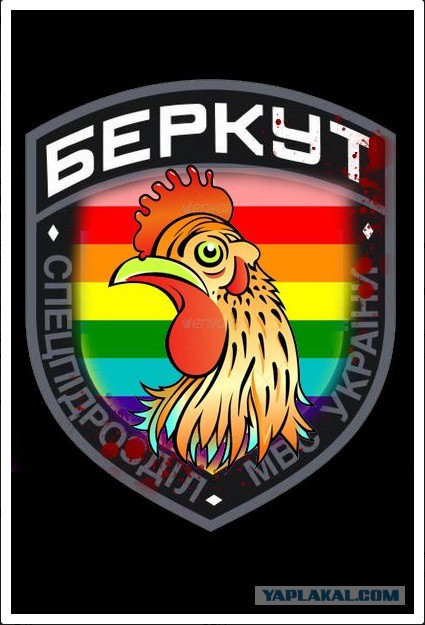 Беркут