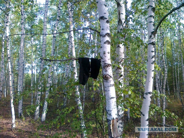 Фотографии с мобильного телефона