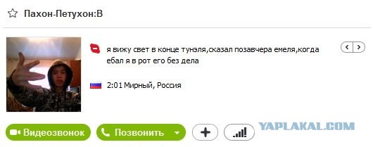 Грамматнасть и нтилехт вконтактовских обитателей