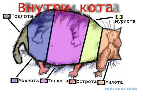 10 простых вопросов, на которые сложно ответить