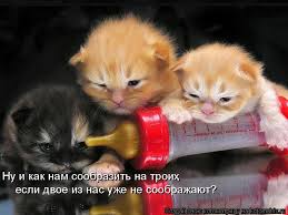 Чёрт, чёрт, чёрт!