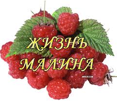 Чёрт, чёрт, чёрт!