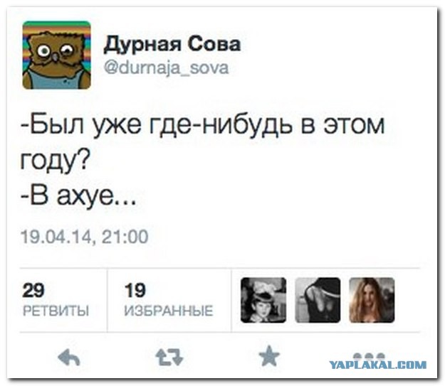 Немного смешных картинок из сети
