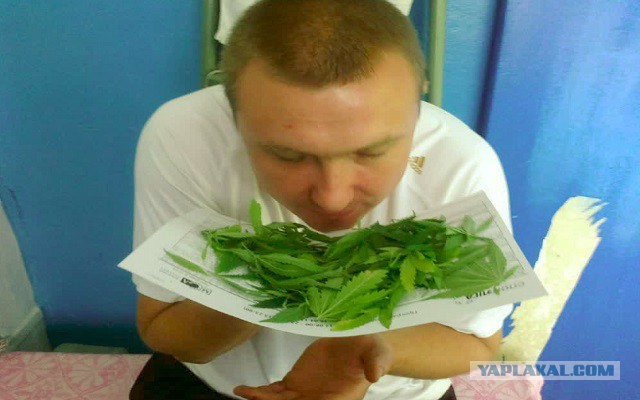 Как действует марихуана на человека.