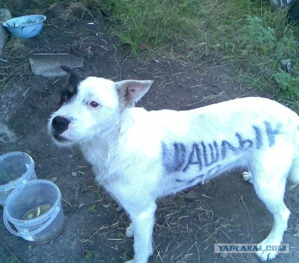 Учится заботе с детства