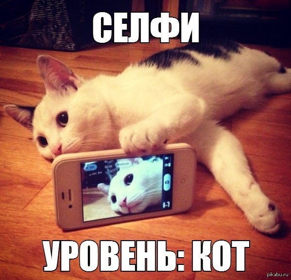 В любой непонятной ситуации - делай селфи!
