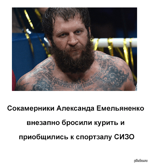 Веселые картинки