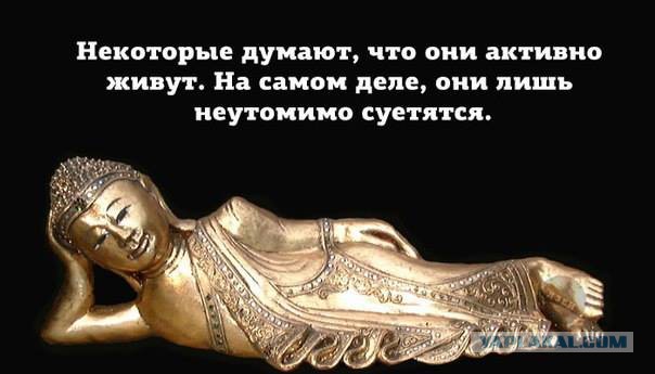 Прикольные фото и картинки