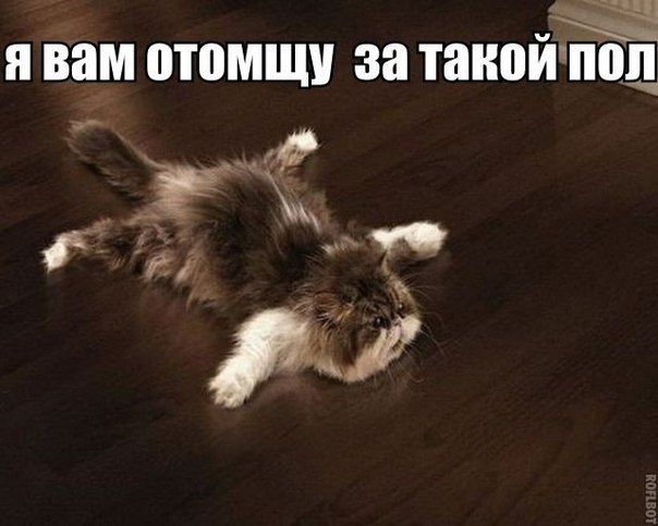 Веселые картинки