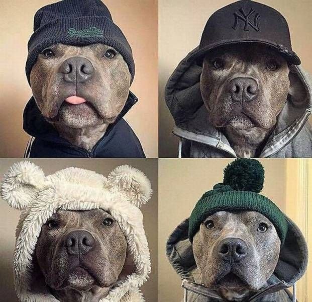 Подборка фотоприколов