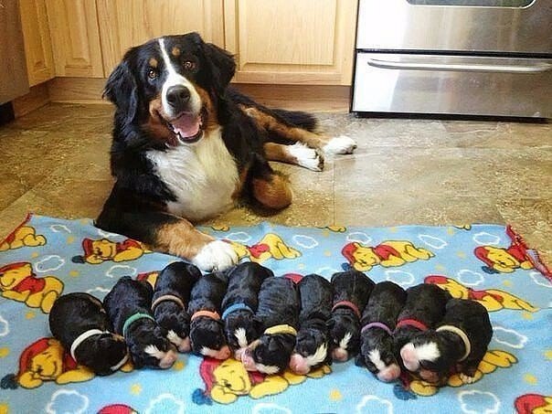 Подборка картинок 20.02.16