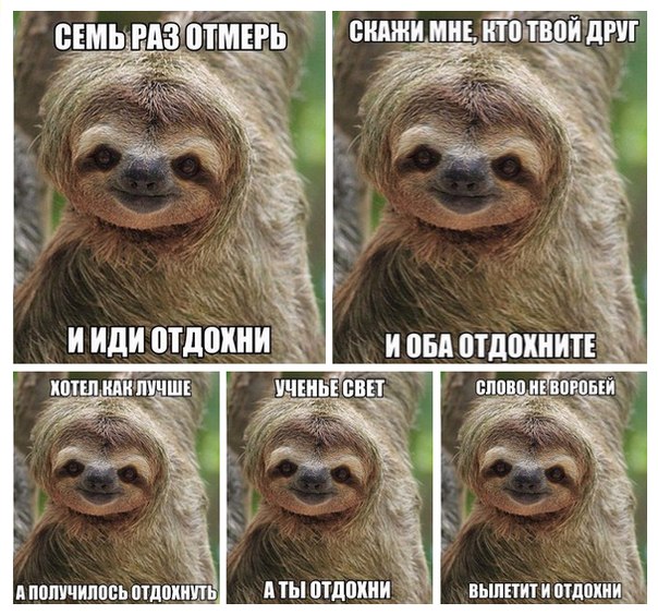 Картинки из Интернетов