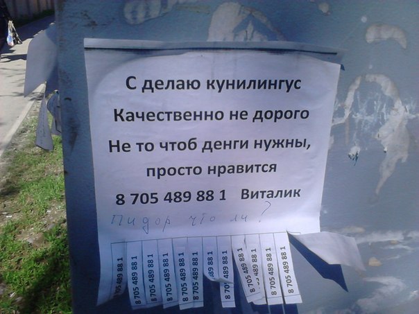 Ужасы и приколы из соцсетей 18+