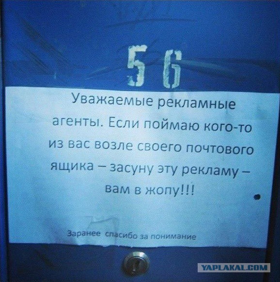 Интересные и веселые картинки