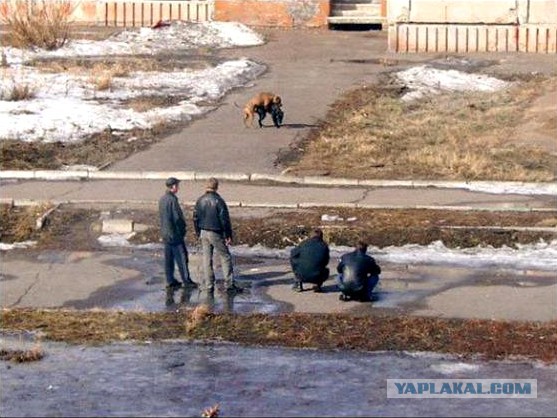 Картинки разные