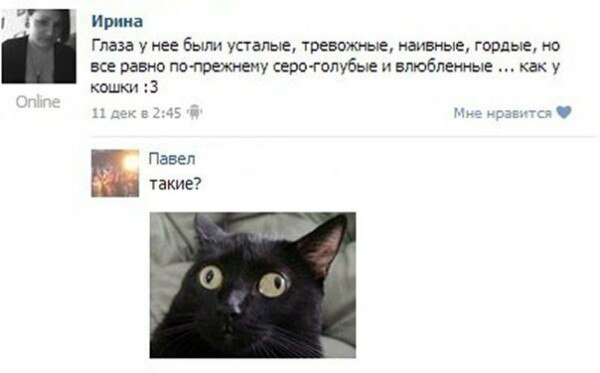 Ужасы и приколы из соцсетей 18+