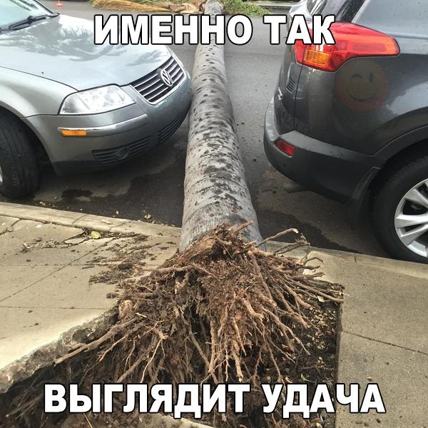 Картинки и гифки, глаза порадовать
