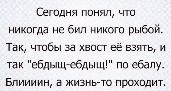 Ветеринару сломали нос, избив его мертвой кошкой